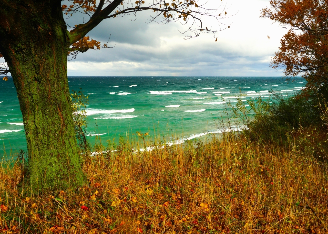 Orchard Beach State Park Michigan